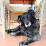 Отель типа 