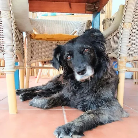 Bed & Breakfast Alma Libre Lanzarote