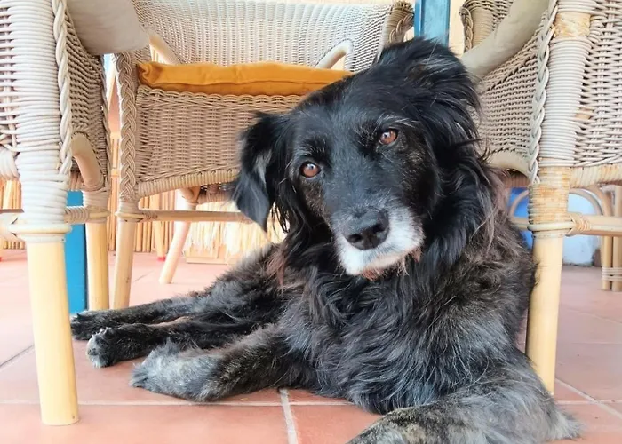 Bed & Breakfast Alma Libre Lanzarote